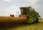 Claas Drescher 40